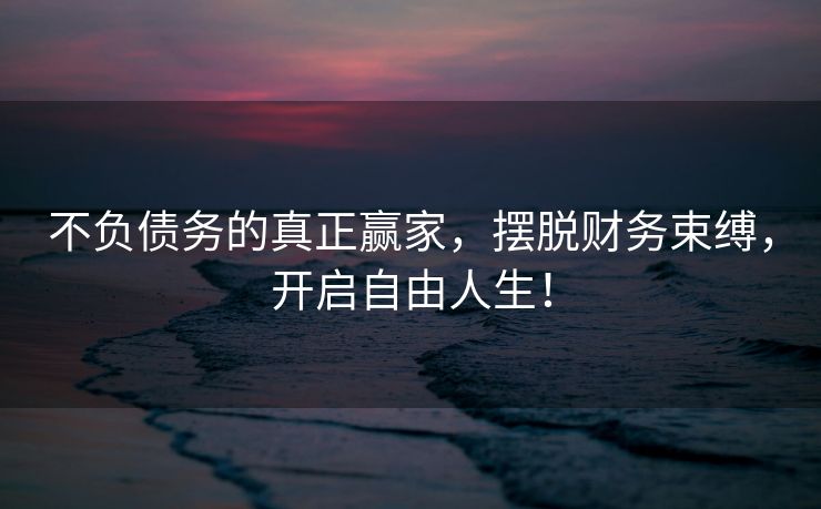 不负债务的真正赢家，摆脱财务束缚，开启自由人生！