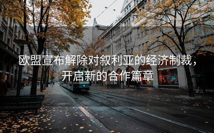 欧盟宣布解除对叙利亚的经济制裁，开启新的合作篇章