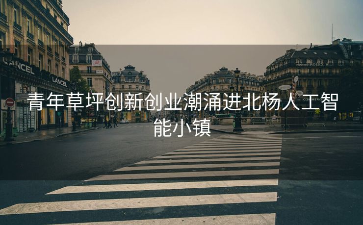 青年草坪创新创业潮涌进北杨人工智能小镇