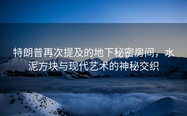 特朗普再次提及的地下秘密房间，水泥方块与现代艺术的神秘交织