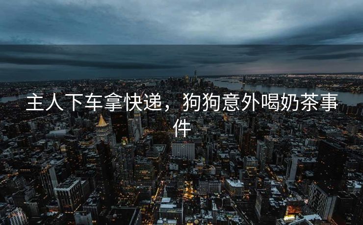 主人下车拿快递，狗狗意外喝奶茶事件