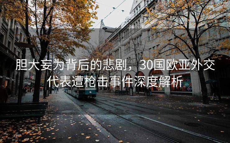胆大妄为背后的悲剧，30国欧亚外交代表遭枪击事件深度解析
