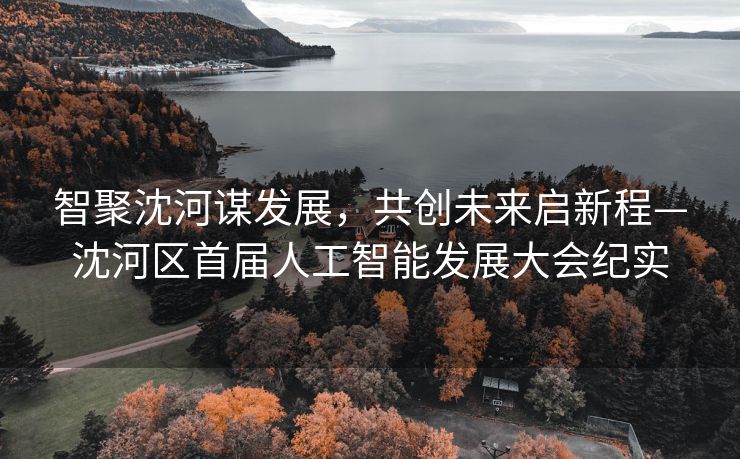 智聚沈河谋发展，共创未来启新程—沈河区首届人工智能发展大会纪实