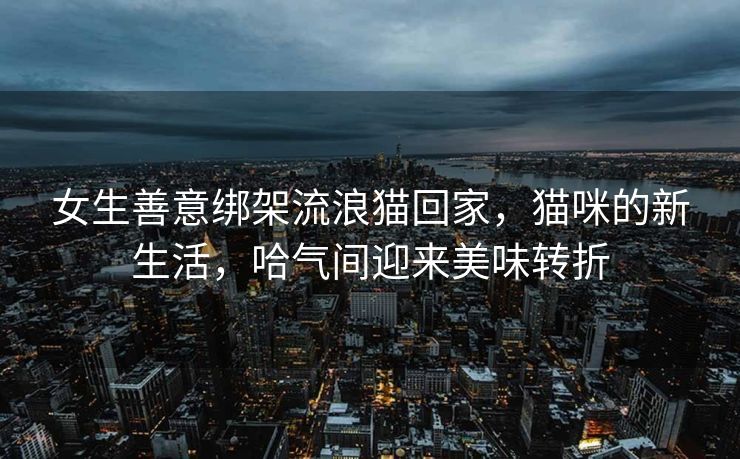 女生善意绑架流浪猫回家，猫咪的新生活，哈气间迎来美味转折