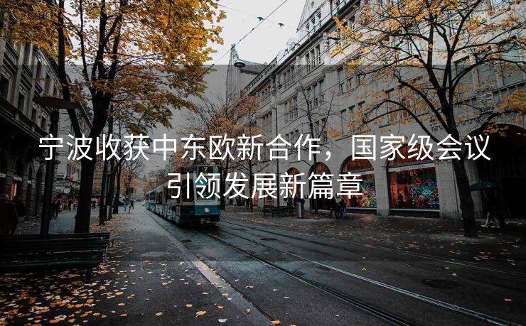 宁波收获中东欧新合作，国家级会议引领发展新篇章