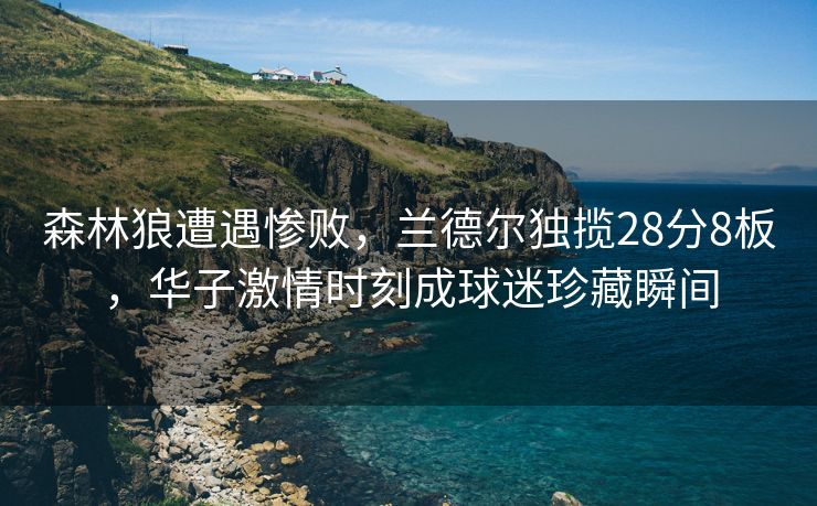森林狼遭遇惨败，兰德尔独揽28分8板，华子激情时刻成球迷珍藏瞬间