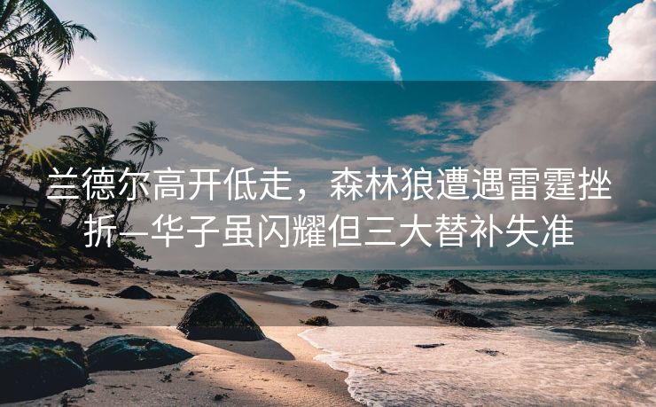 兰德尔高开低走，森林狼遭遇雷霆挫折—华子虽闪耀但三大替补失准