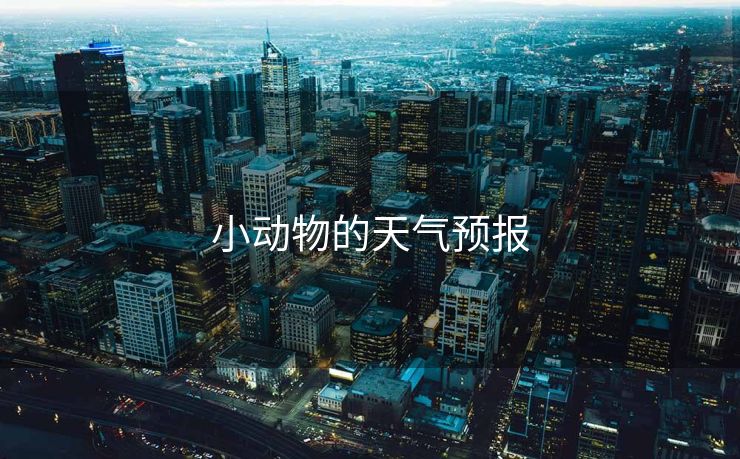 小动物的天气预报