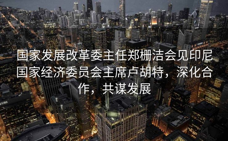 国家发展改革委主任郑栅洁会见印尼国家经济委员会主席卢胡特，深化合作，共谋发展