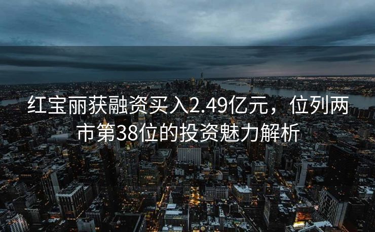 红宝丽获融资买入2.49亿元，位列两市第38位的投资魅力解析