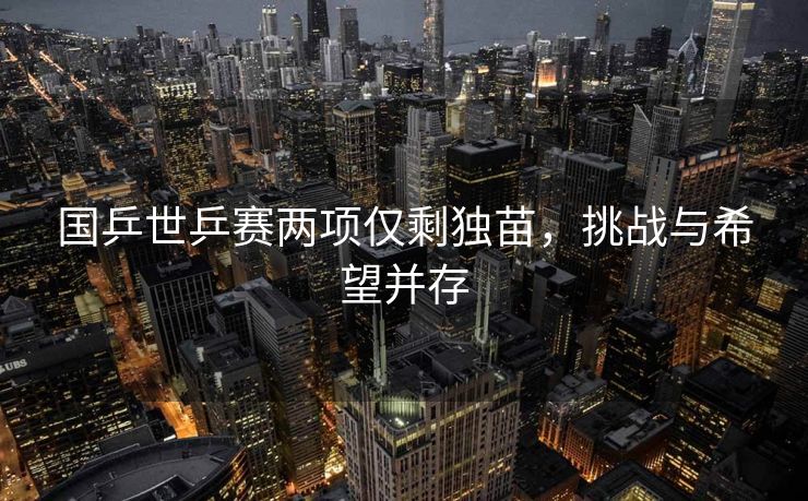 国乒世乒赛两项仅剩独苗，挑战与希望并存