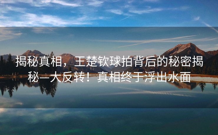 揭秘真相，王楚钦球拍背后的秘密揭秘—大反转！真相终于浮出水面