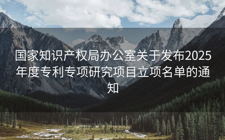 国家知识产权局办公室关于发布2025年度专利专项研究项目立项名单的通知