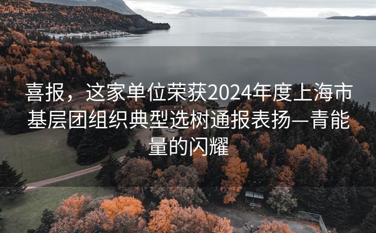 喜报，这家单位荣获2024年度上海市基层团组织典型选树通报表扬—青能量的闪耀