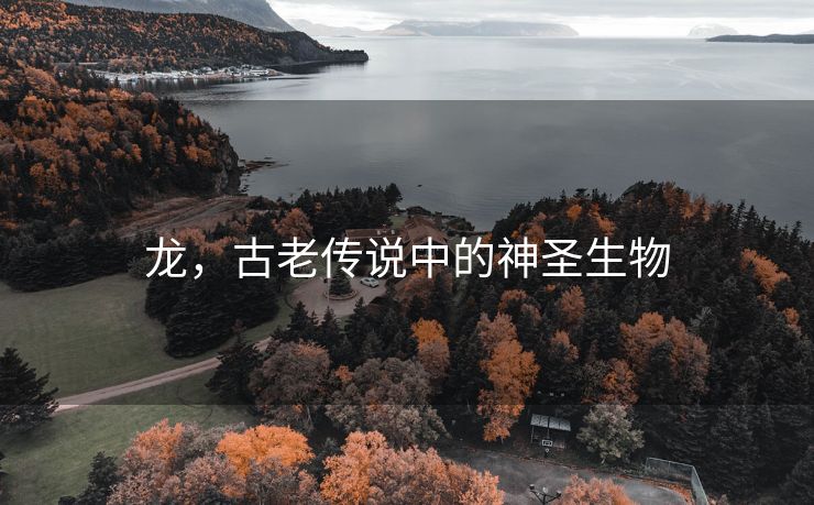 龙，古老传说中的神圣生物