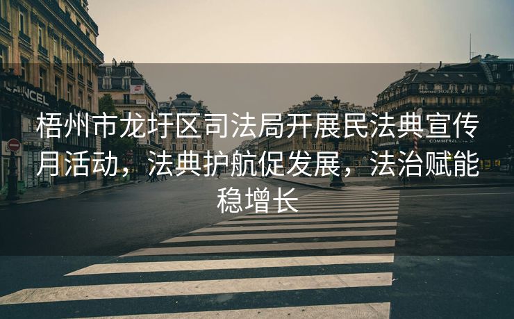 梧州市龙圩区司法局开展民法典宣传月活动，法典护航促发展，法治赋能稳增长