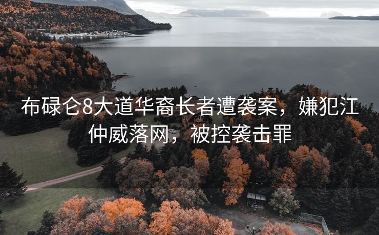 布碌仑8大道华裔长者遭袭案，嫌犯江仲威落网，被控袭击罪