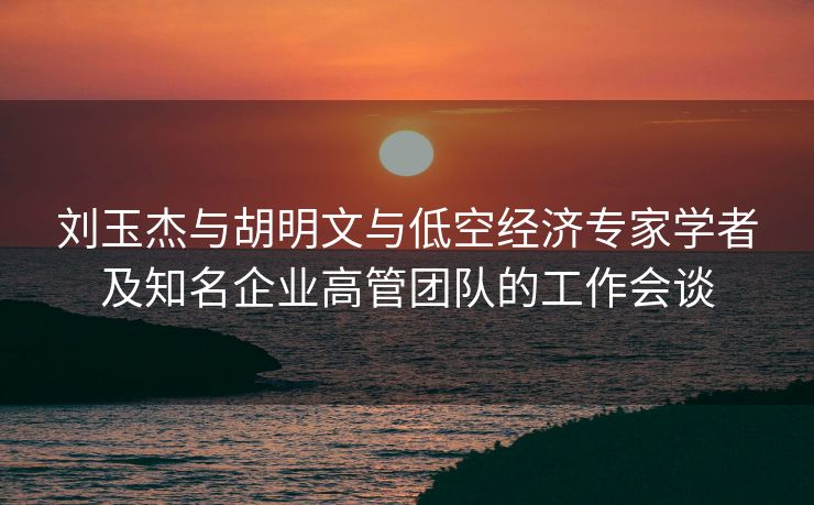 刘玉杰与胡明文与低空经济专家学者及知名企业高管团队的工作会谈