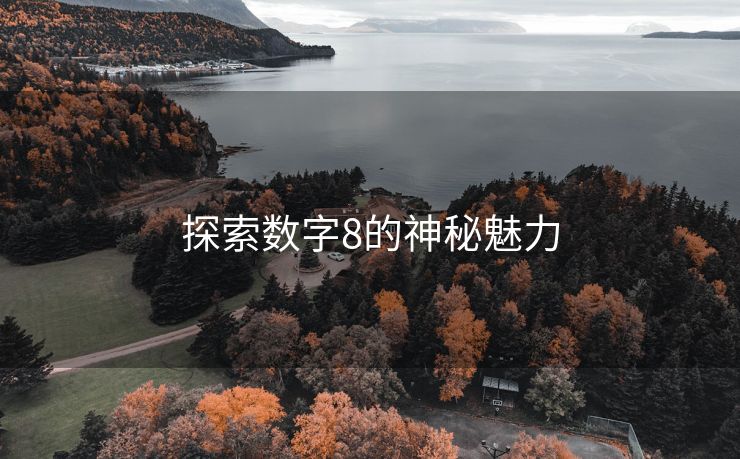 探索数字8的神秘魅力