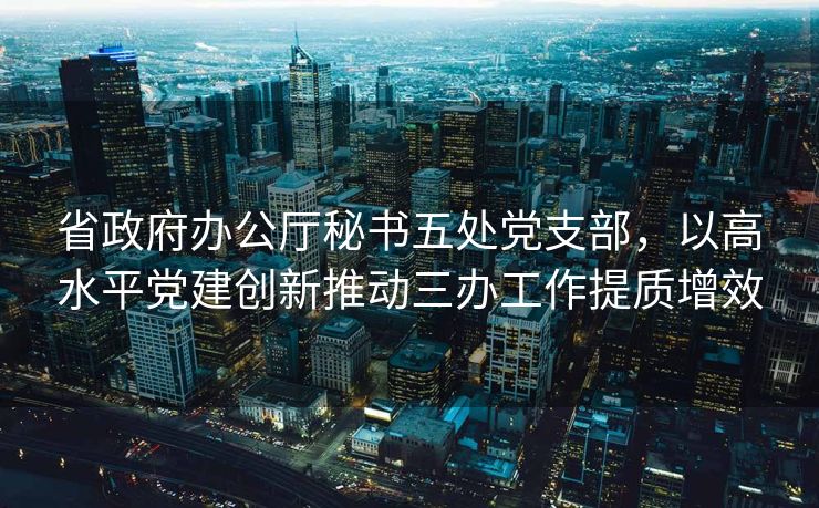 省政府办公厅秘书五处党支部，以高水平党建创新推动三办工作提质增效