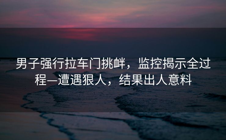 男子强行拉车门挑衅，监控揭示全过程—遭遇狠人，结果出人意料