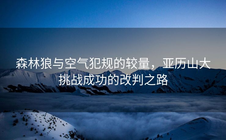 森林狼与空气犯规的较量，亚历山大挑战成功的改判之路