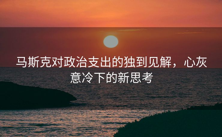 马斯克对政治支出的独到见解，心灰意冷下的新思考