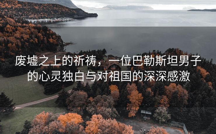 废墟之上的祈祷，一位巴勒斯坦男子的心灵独白与对祖国的深深感激