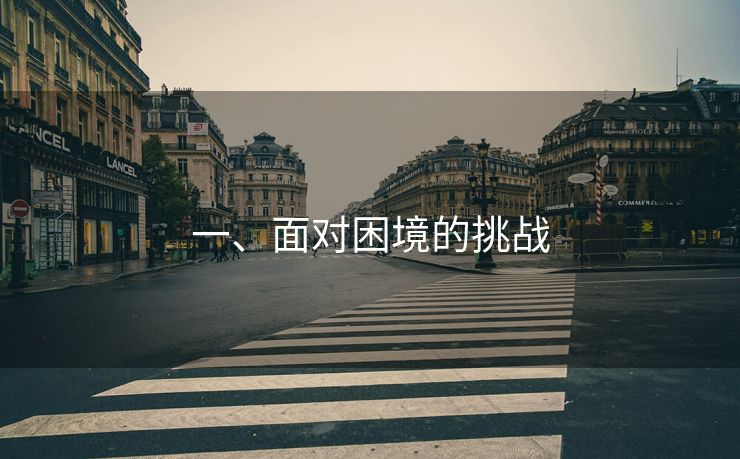 一、面对困境的挑战