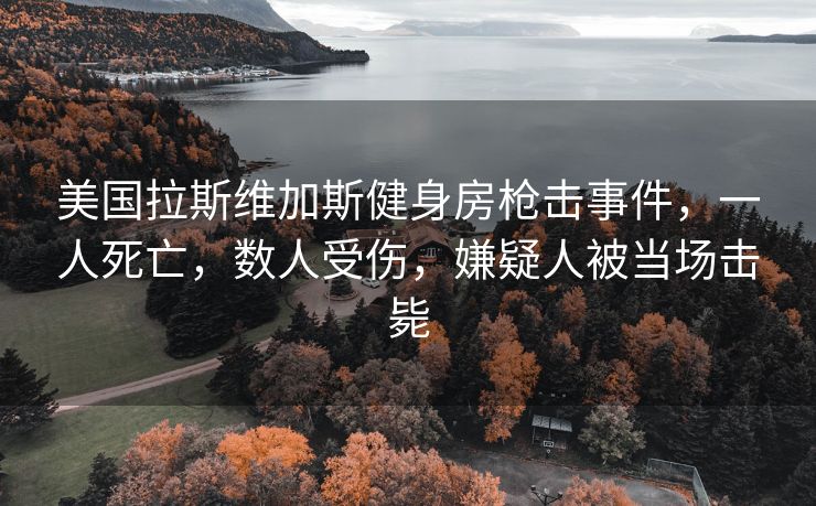 美国拉斯维加斯健身房枪击事件，一人死亡，数人受伤，嫌疑人被当场击毙
