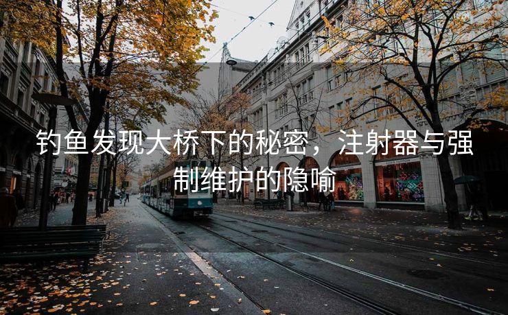 钓鱼发现大桥下的秘密，注射器与强制维护的隐喻