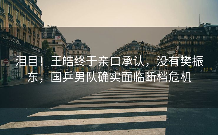 泪目！王皓终于亲口承认，没有樊振东，国乒男队确实面临断档危机