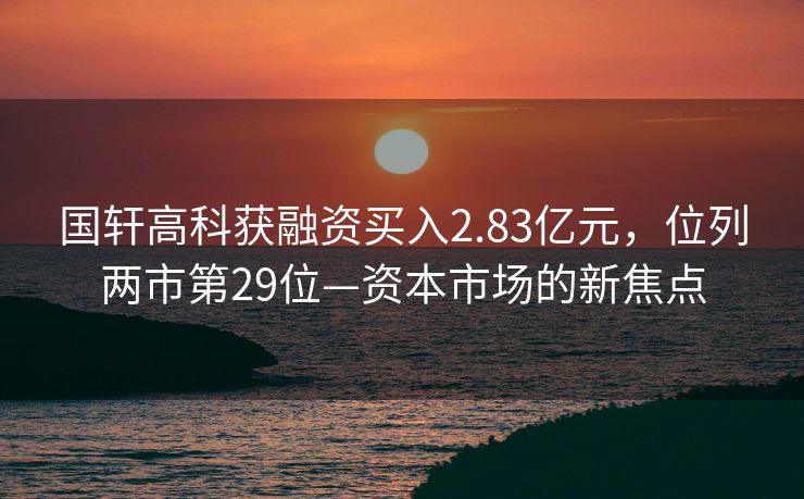 国轩高科获融资买入2.83亿元，位列两市第29位—资本市场的新焦点