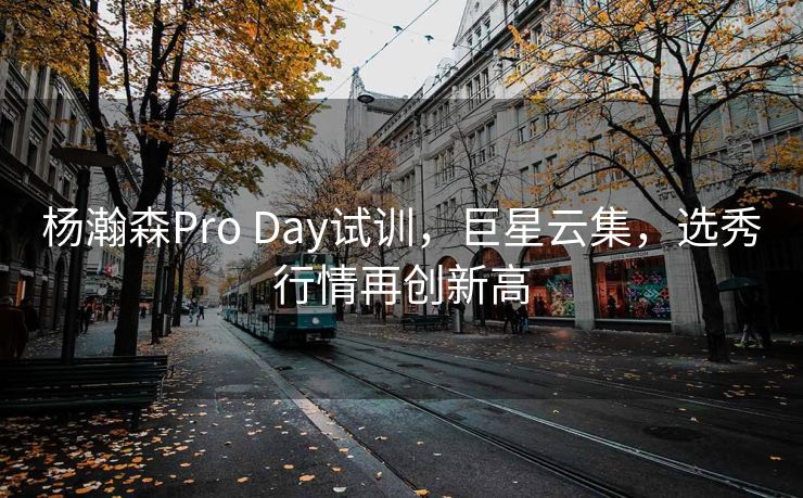 杨瀚森Pro Day试训，巨星云集，选秀行情再创新高
