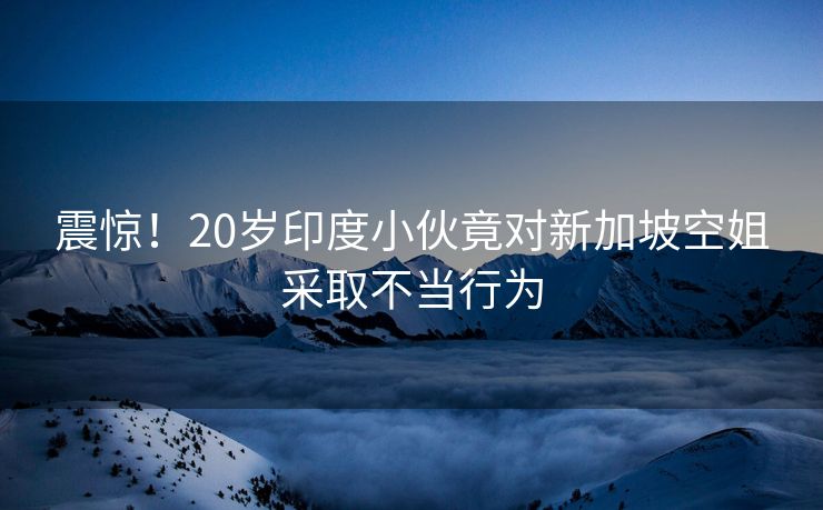 震惊！20岁印度小伙竟对新加坡空姐采取不当行为