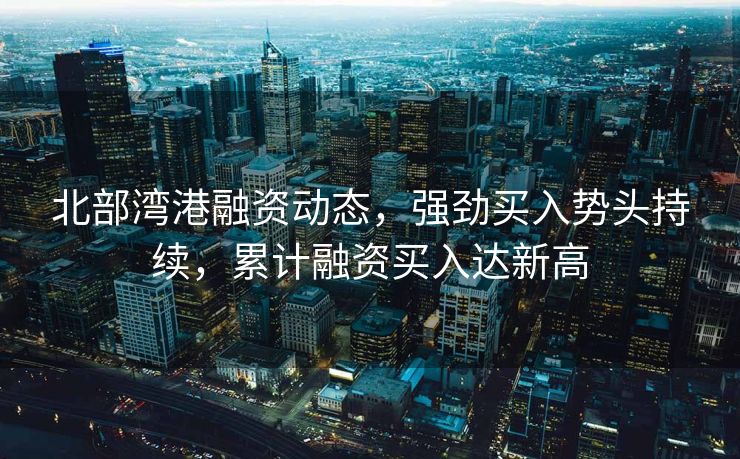 北部湾港融资动态，强劲买入势头持续，累计融资买入达新高