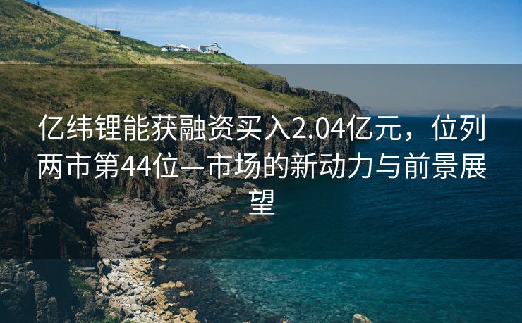 亿纬锂能获融资买入2.04亿元，位列两市第44位—市场的新动力与前景展望