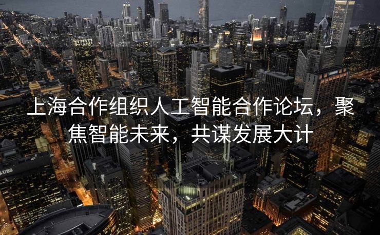 上海合作组织人工智能合作论坛，聚焦智能未来，共谋发展大计