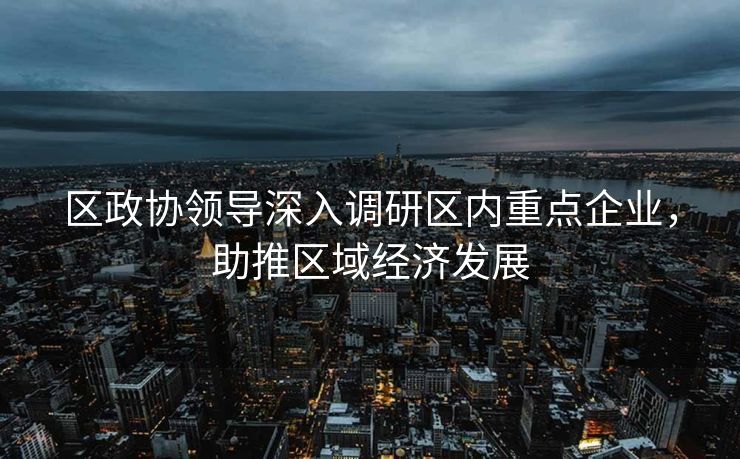 区政协领导深入调研区内重点企业，助推区域经济发展