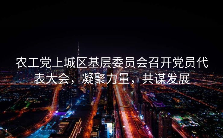 农工党上城区基层委员会召开党员代表大会，凝聚力量，共谋发展