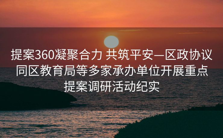 提案360凝聚合力 共筑平安—区政协议同区教育局等多家承办单位开展重点提案调研活动纪实