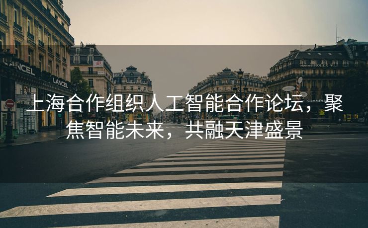 上海合作组织人工智能合作论坛，聚焦智能未来，共融天津盛景