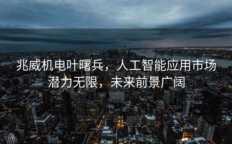 兆威机电叶曙兵，人工智能应用市场潜力无限，未来前景广阔