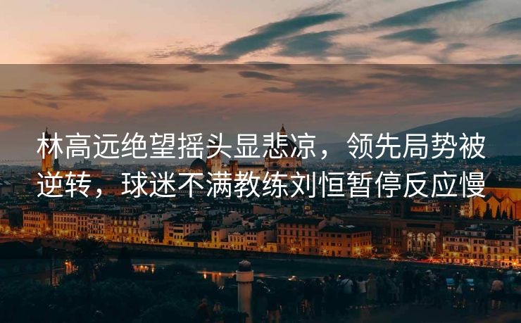 林高远绝望摇头显悲凉，领先局势被逆转，球迷不满教练刘恒暂停反应慢