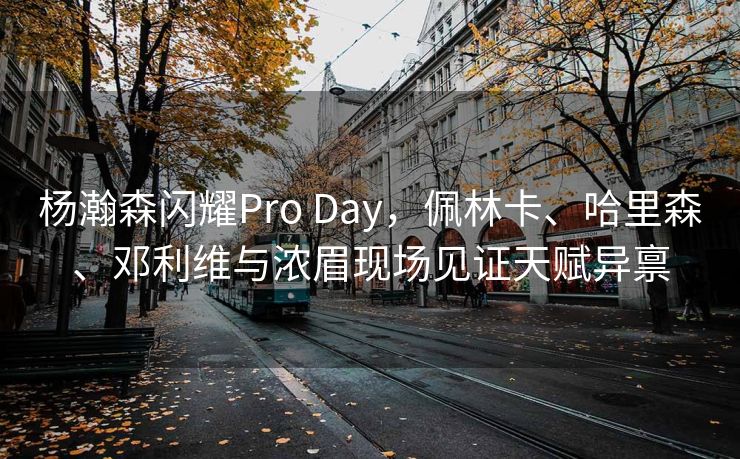 杨瀚森闪耀Pro Day，佩林卡、哈里森、邓利维与浓眉现场见证天赋异禀