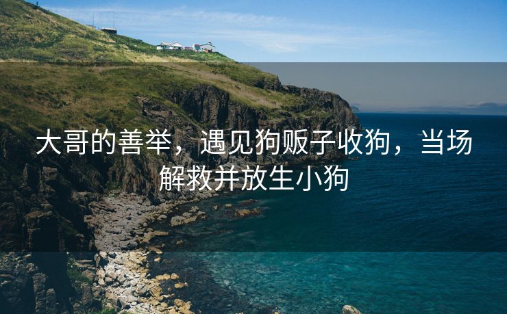 大哥的善举，遇见狗贩子收狗，当场解救并放生小狗