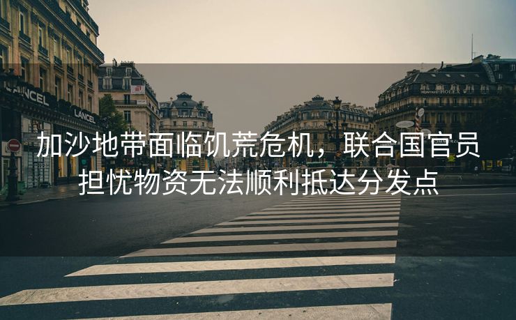 加沙地带面临饥荒危机，联合国官员担忧物资无法顺利抵达分发点