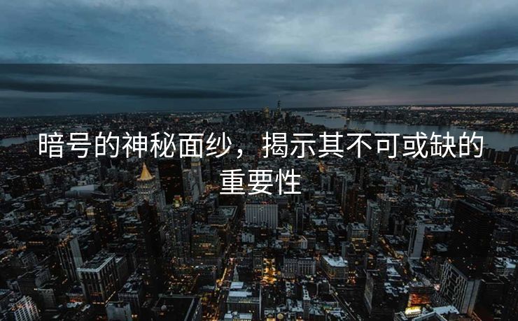 暗号的神秘面纱，揭示其不可或缺的重要性