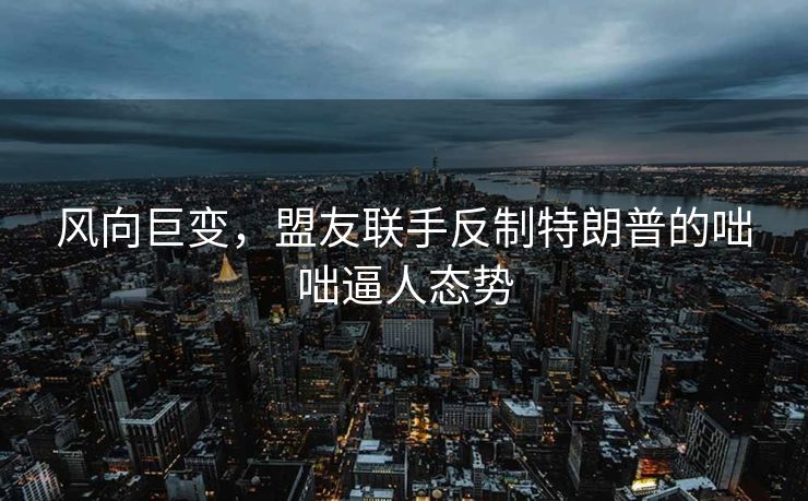 风向巨变，盟友联手反制特朗普的咄咄逼人态势