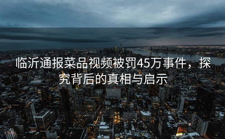 临沂通报菜品视频被罚45万事件，探究背后的真相与启示